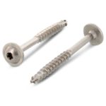 100-stk-tellerkopf-holzbauschrauben-a2-80x100-80-tx40